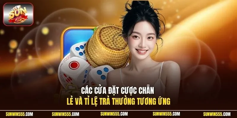 Các cửa đặt cược chẵn lẻ và tỉ lệ trả thưởng tương ứng 