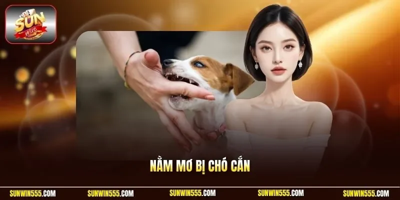 Nằm mơ bị chó cắn